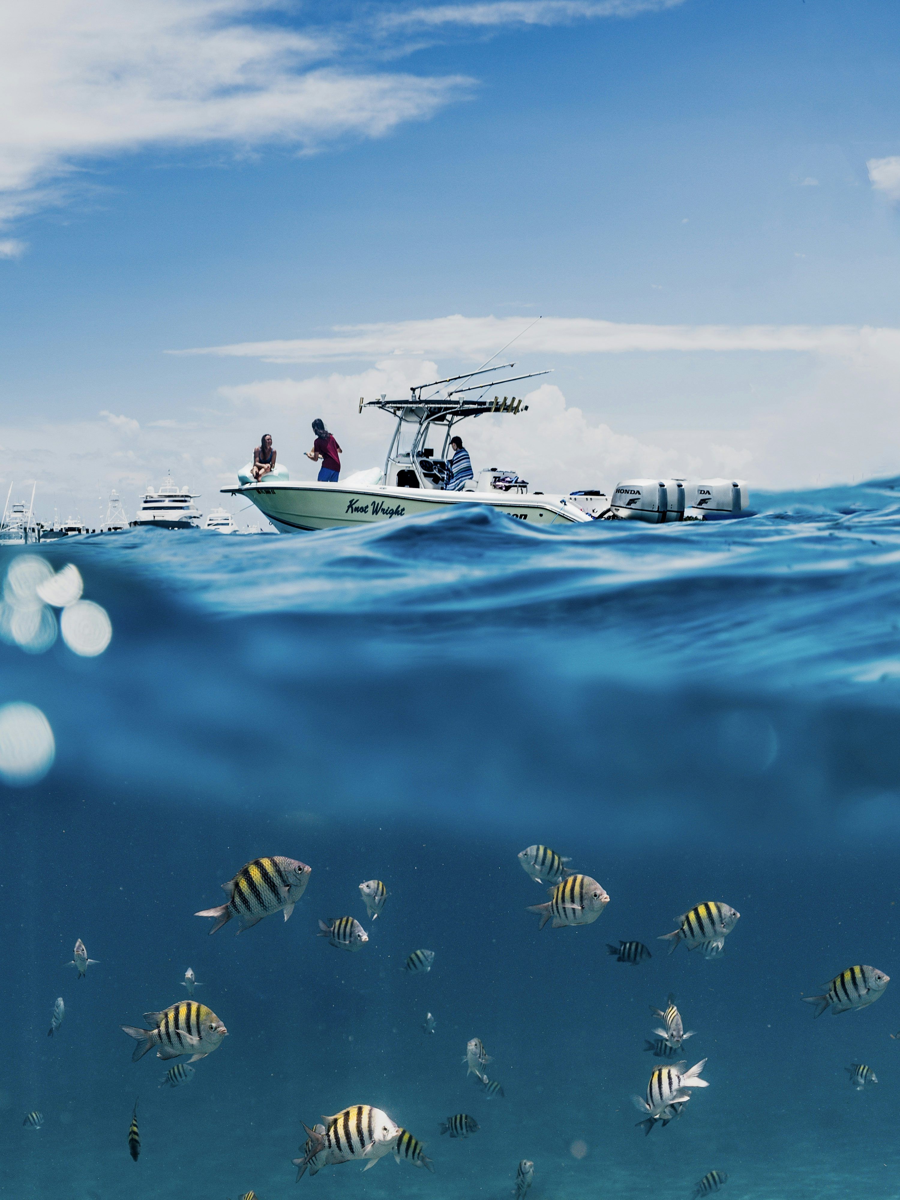 3000x4000 Ocean Fishing Picture. Download Free Image
