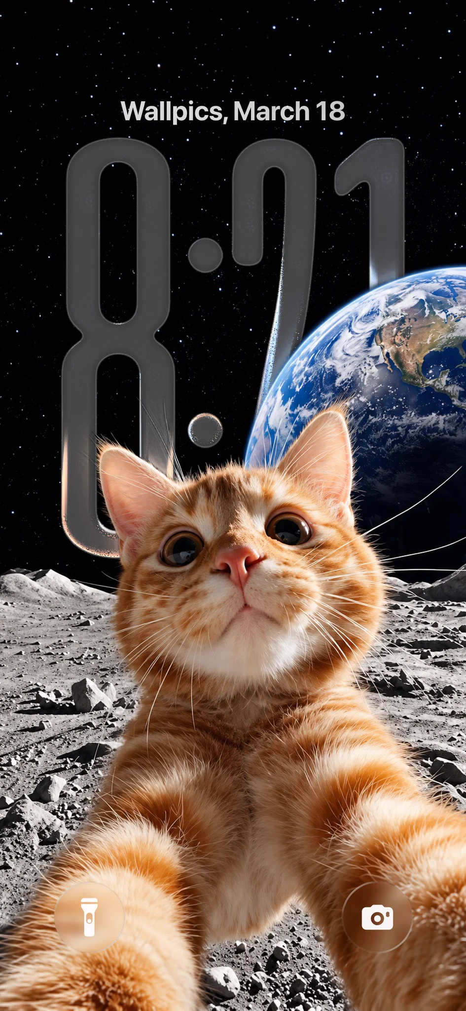 945x2048 4K Wallpaper on X: Orange Cat Lunar Selfie Wallpaper / X