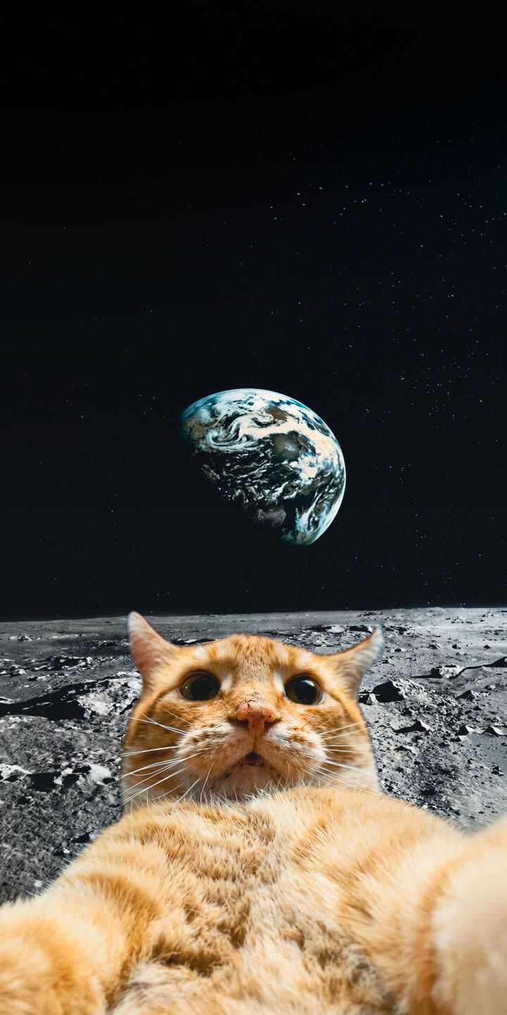 720x1440 Smiling Space Cat Wallpaper 1080x2340 Wallpaper For Samsung Galaxy S24 S23 S Samsung Galaxy A72 A OnePlus 8 8T 9 9R 10 10R OnePlus Nord 2 Xiaomi Mi 10 11 12 13