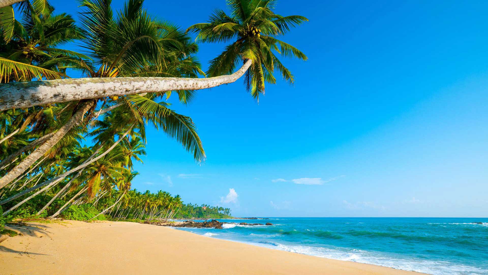 1920x1080 Découvrir Sao Tomé et Principe joyau de l'Océan Atlantique