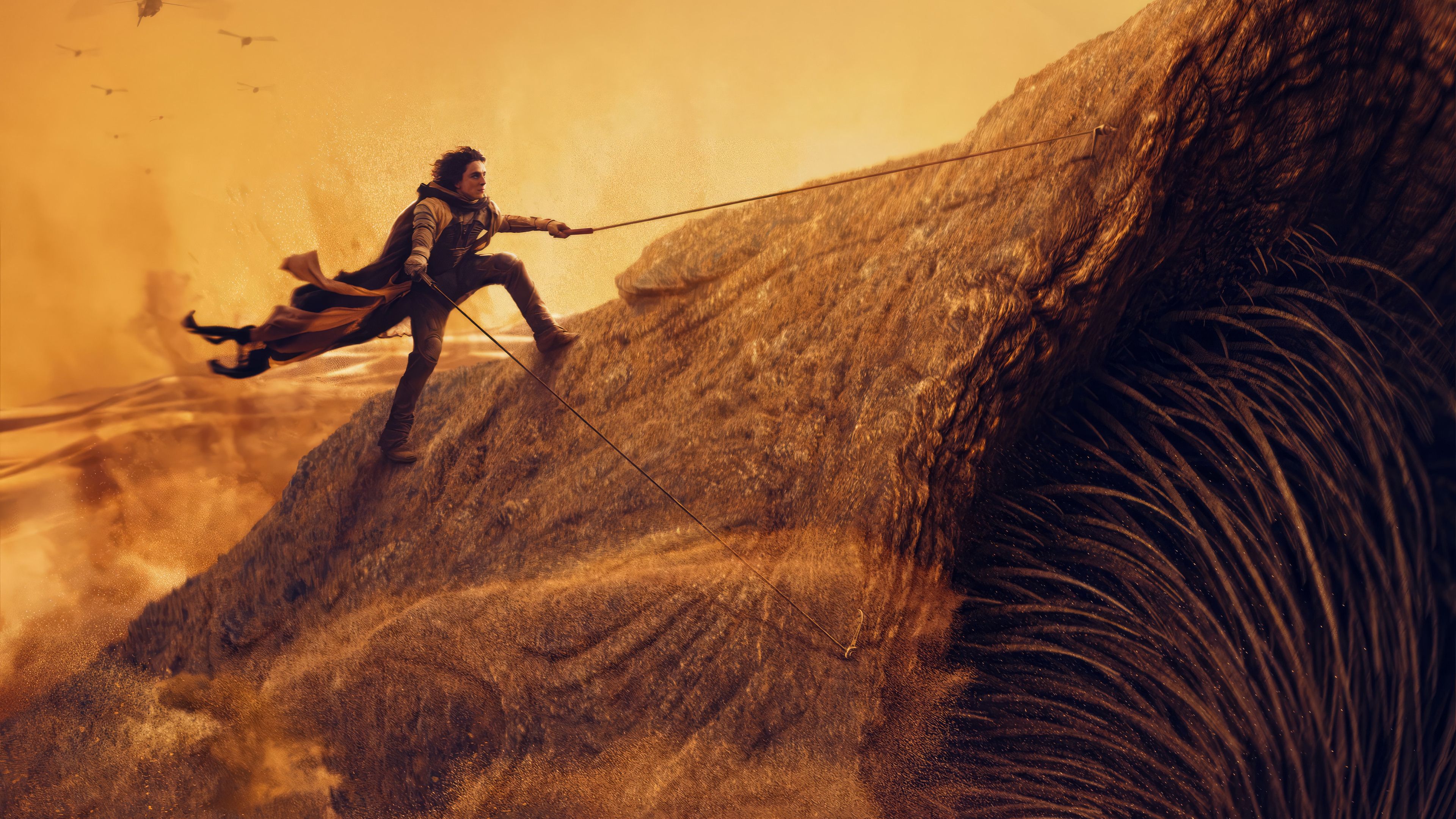 3840x2160 Dune: Part 2 Sandworm Paul Atreides Riding 4K Wallpaper iPhone HD Phone o