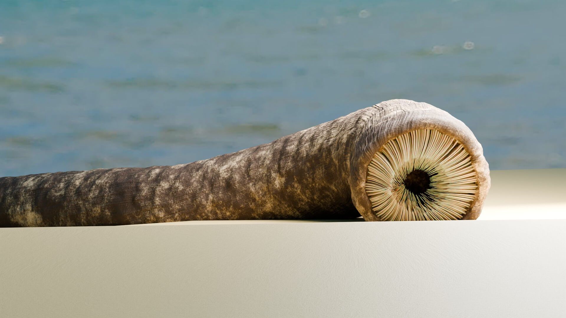 1920x1080 Dune Sandworm