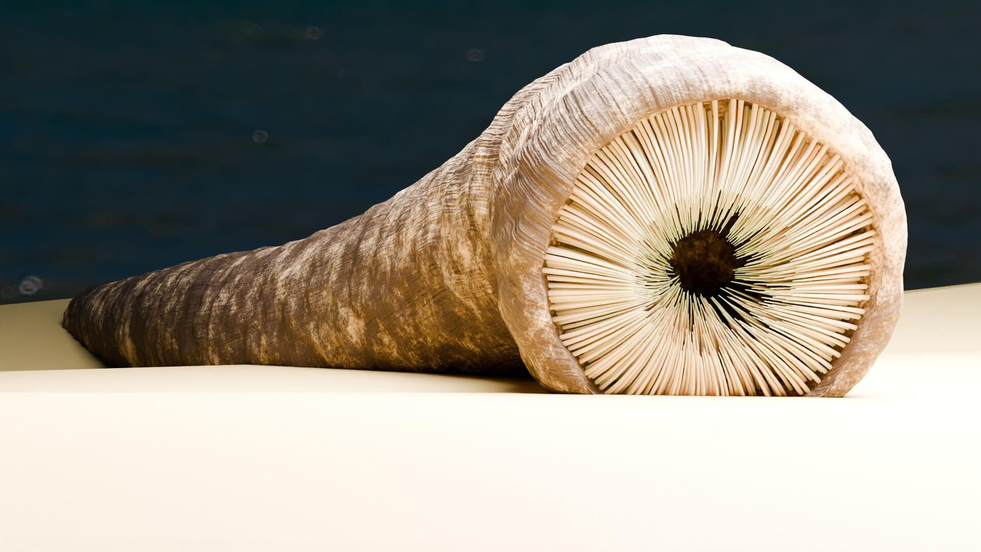 1920x1080 Dune Sandworm