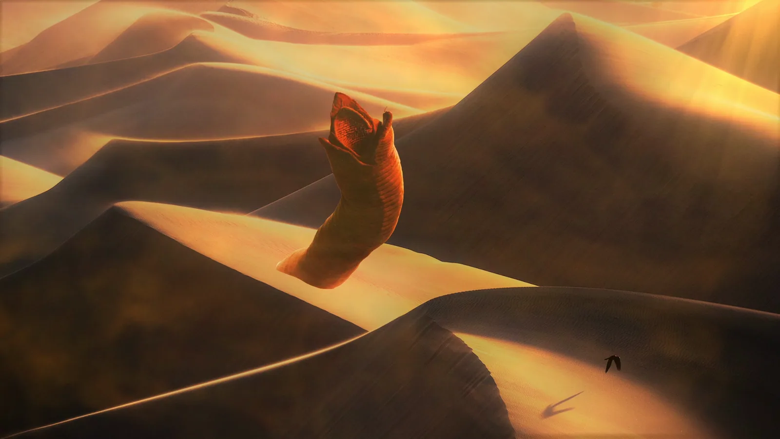1600x900 Sandworm Emerges from Arrakis Wallpaper