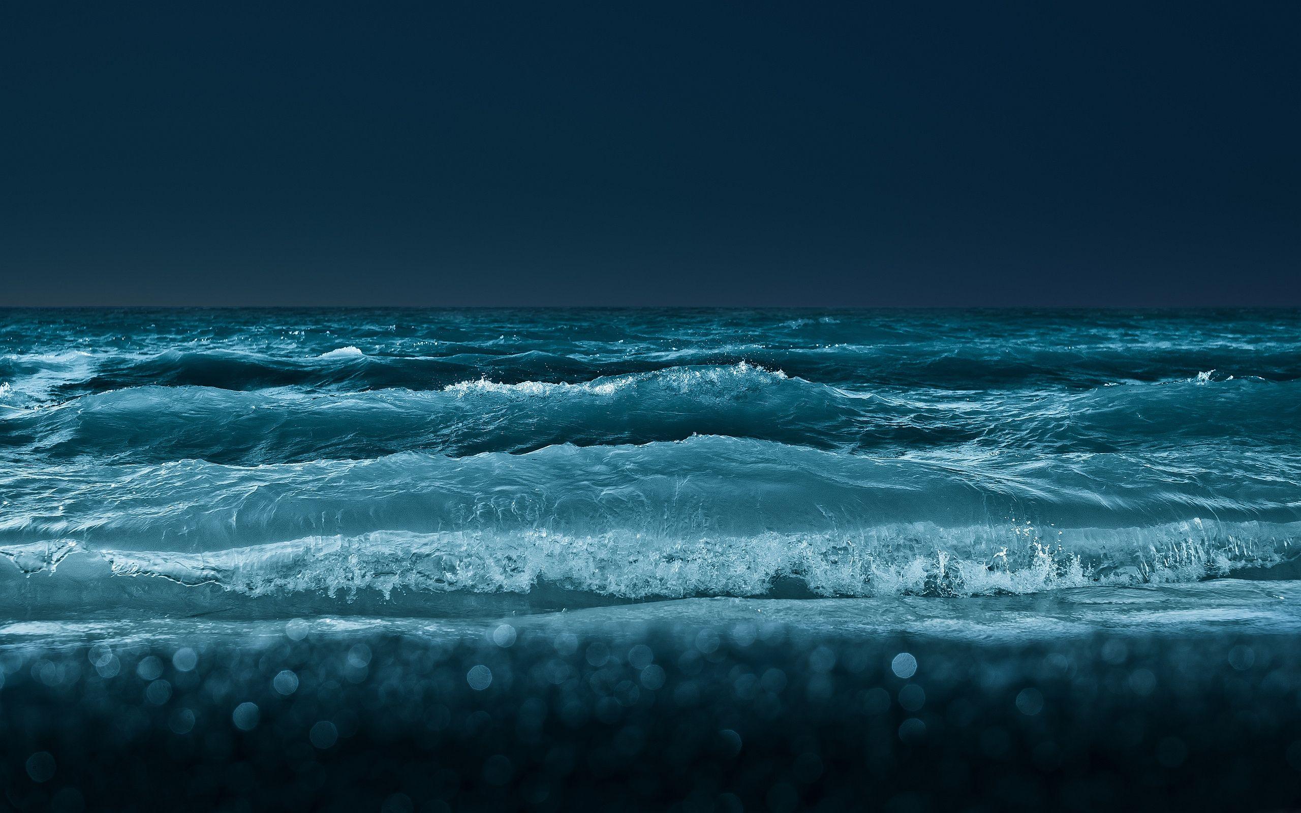 2560x1600 Biology trumps chemistry in open ocean (Constantine Alexander's Journal)