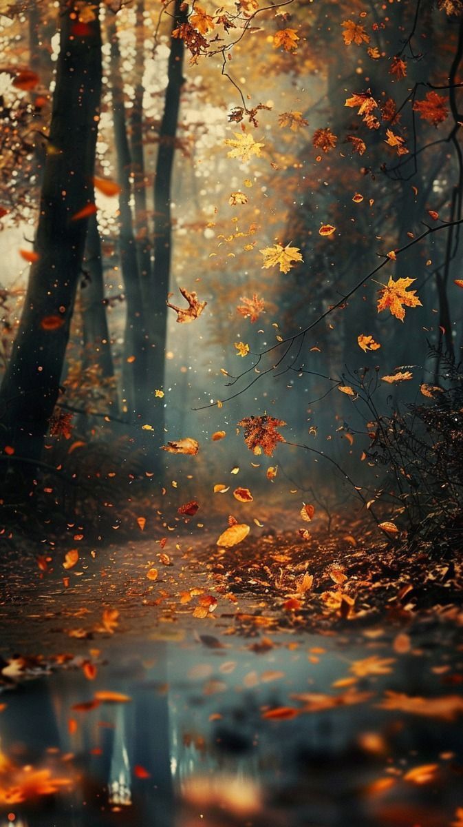 673x1200 Magical fall forest. Mystical autumn, Magical autumn, Autumn wallpaper
