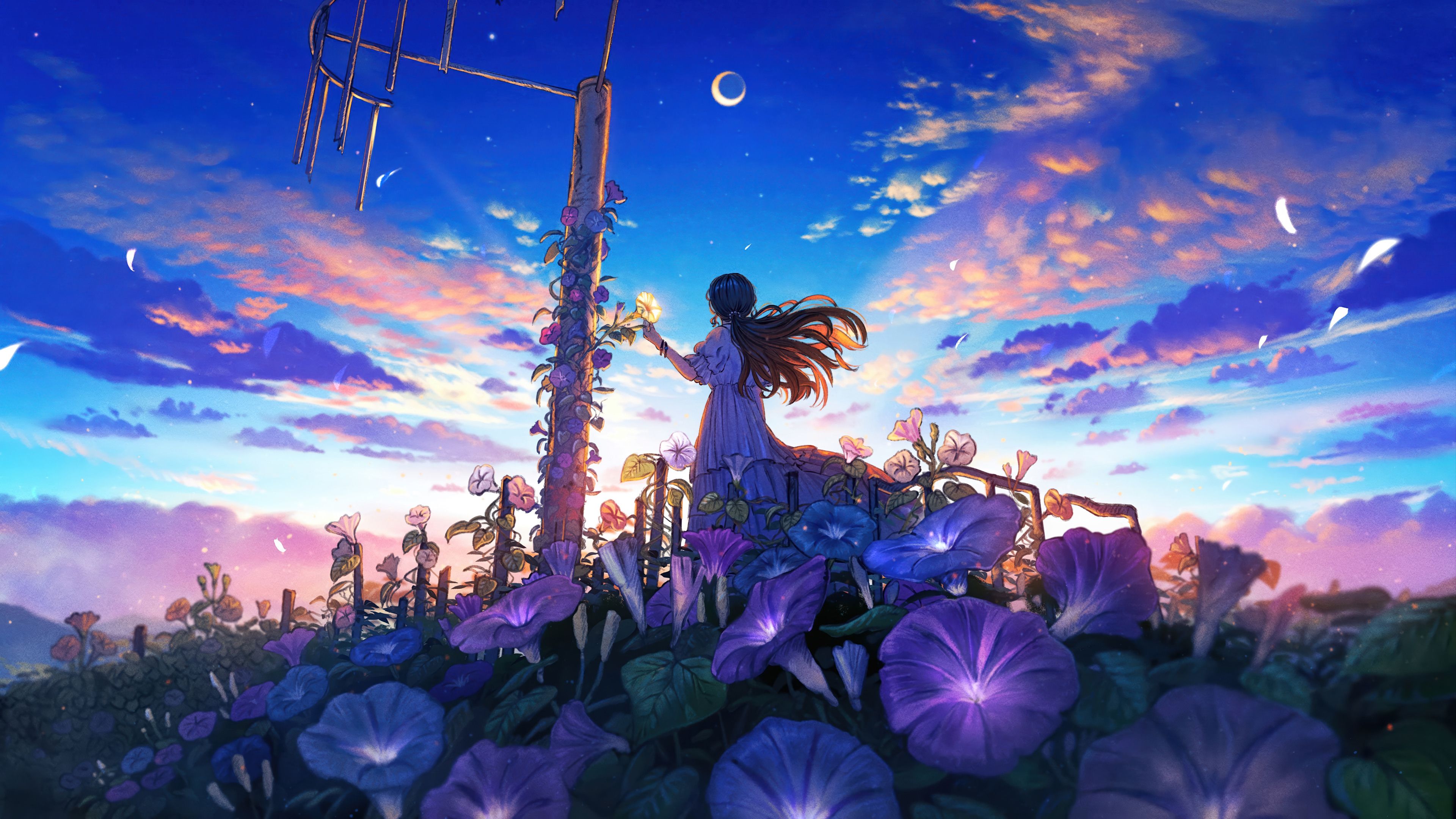 3840x2160 Anime Girl Flower Field Sunrise Scenery 4K Wallpaper PC HD q