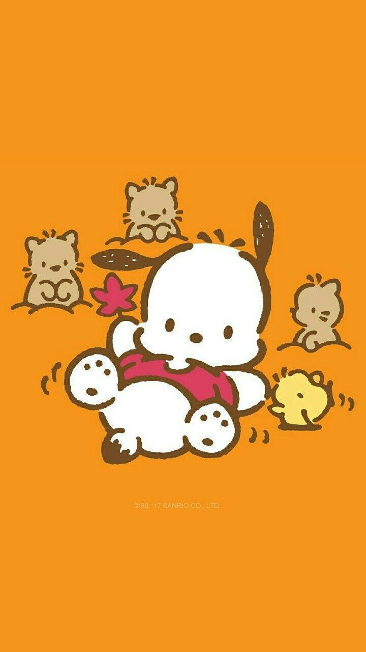 720x1280 Sanrio