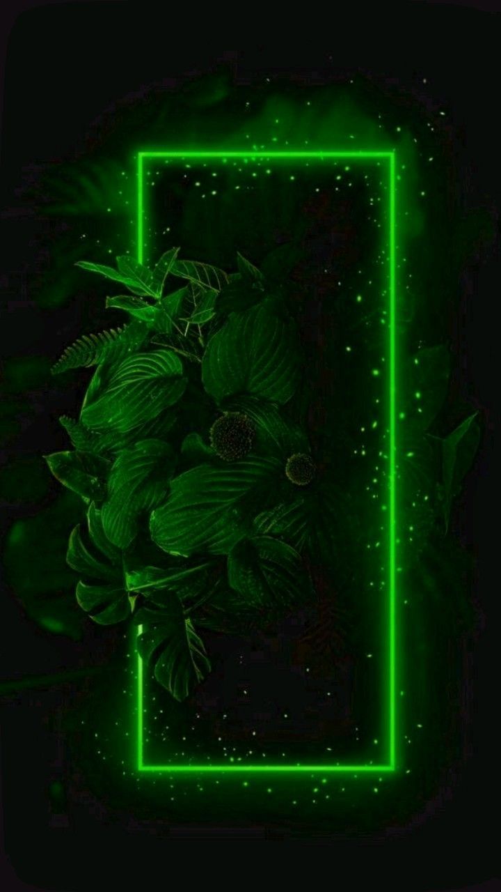 720x1280 Neon Art. aesthetic. Aesthetics. green aesthetic. Neon aesthetic. background. wallpaper