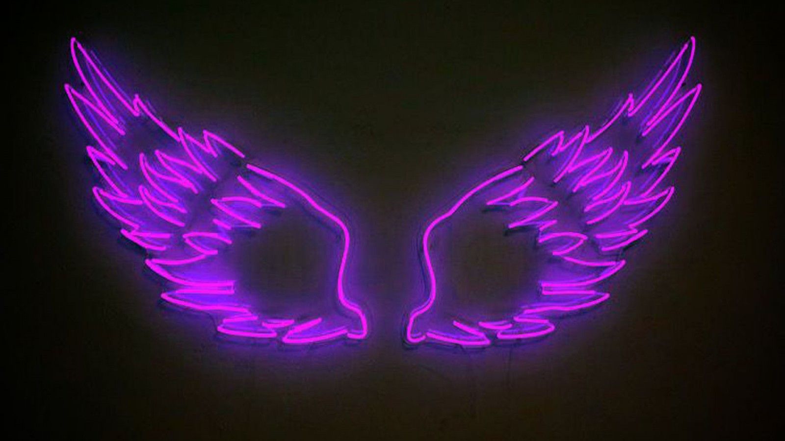1600x900 Light Neon Purple Purple Aesthetic Neon Lights Wings Black Background HD Purple Aesthetic Wallpaper HD Wallpaper