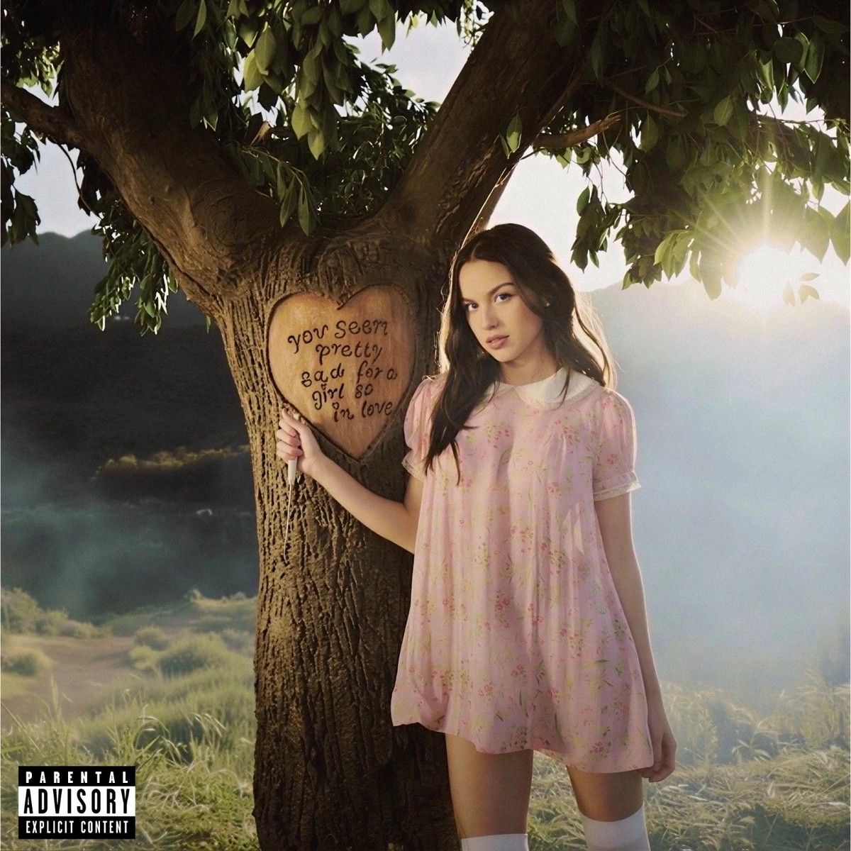 1200x1200 Olivia Rodrigo You Seem Pretty Sad For A Girl So In Love Album Cover Poster