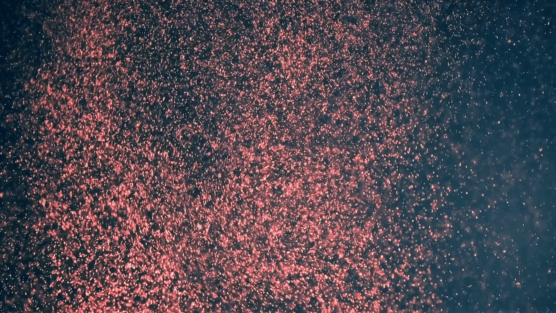 1920x1080 Falling Glitter Stock Footage: Royalty Free Video Clips