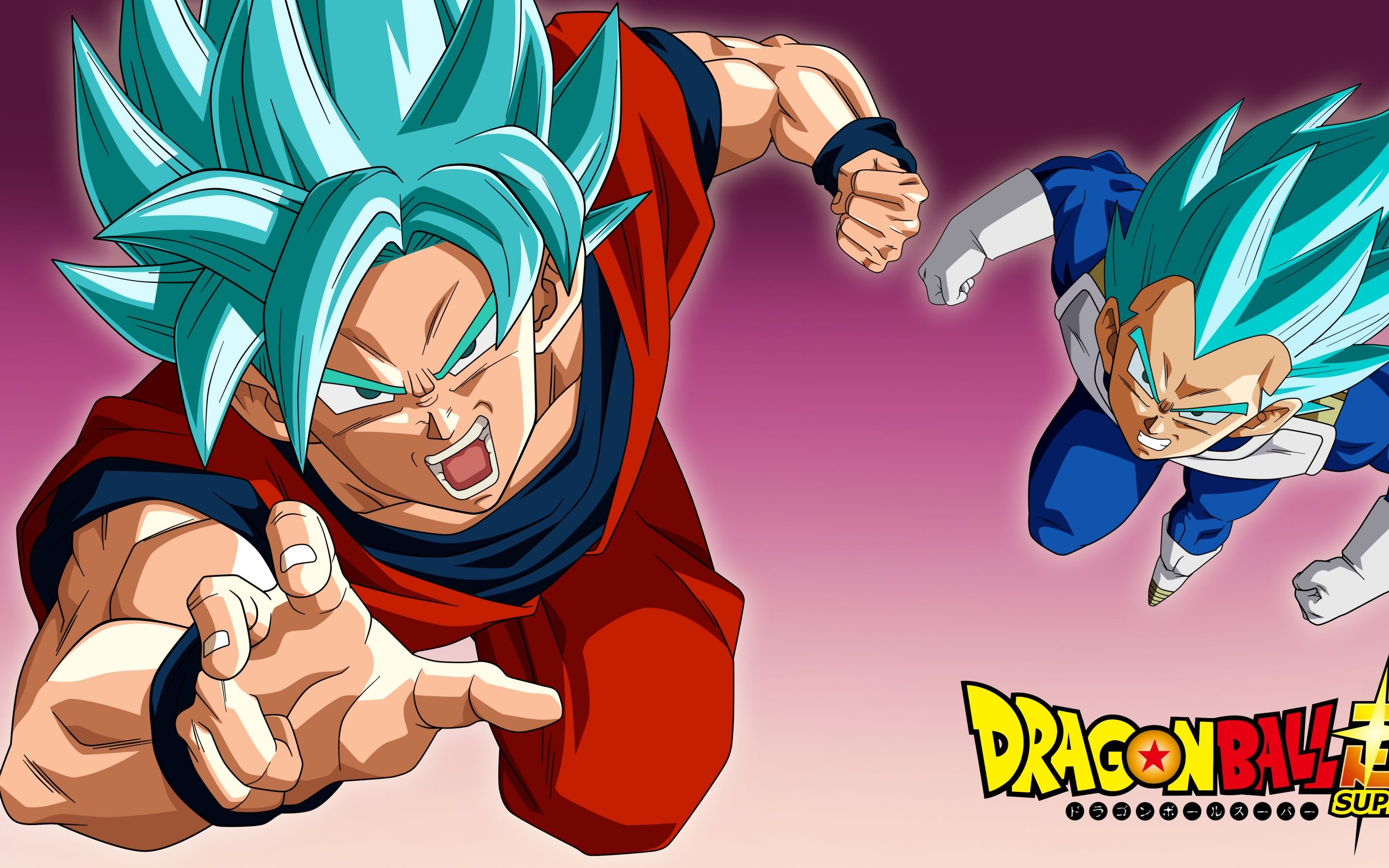 2880x1800 Super Saiyan Blue Goku & Vegeta in Dragon Ball Super 5K Wallpaper