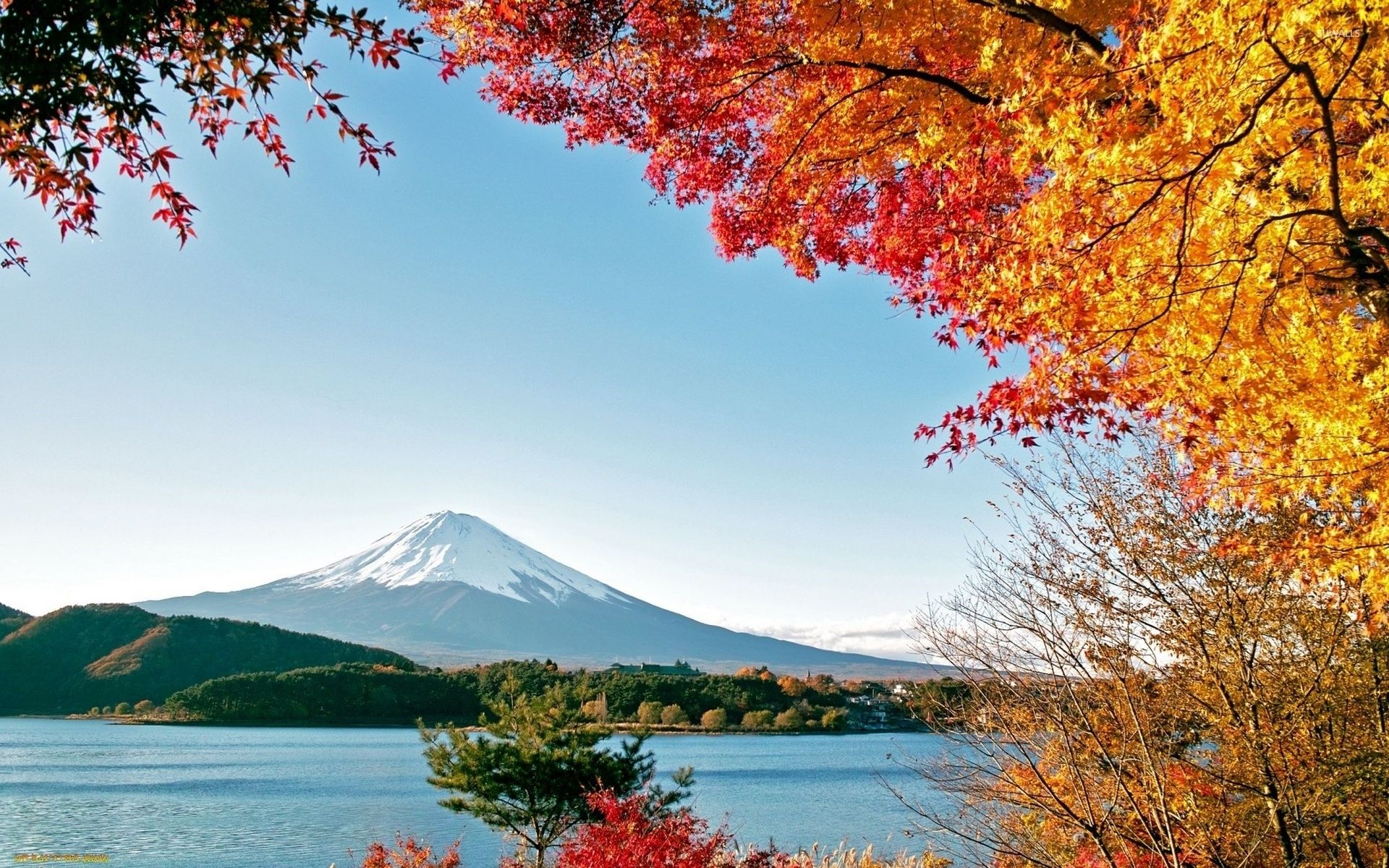 1920x1200 Lake Kawaguchi wallpaper wallpaper