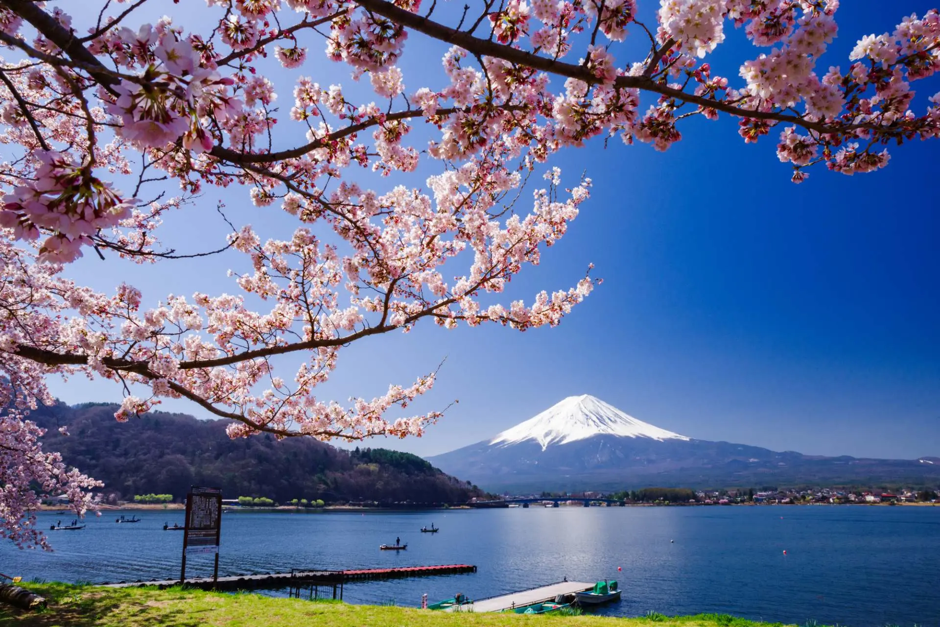 1920x1280 Enjoy Nature in All Seasons! Popular Tourist Spots Around Lake Kawaguchiko. GOOD LUCK TRIP