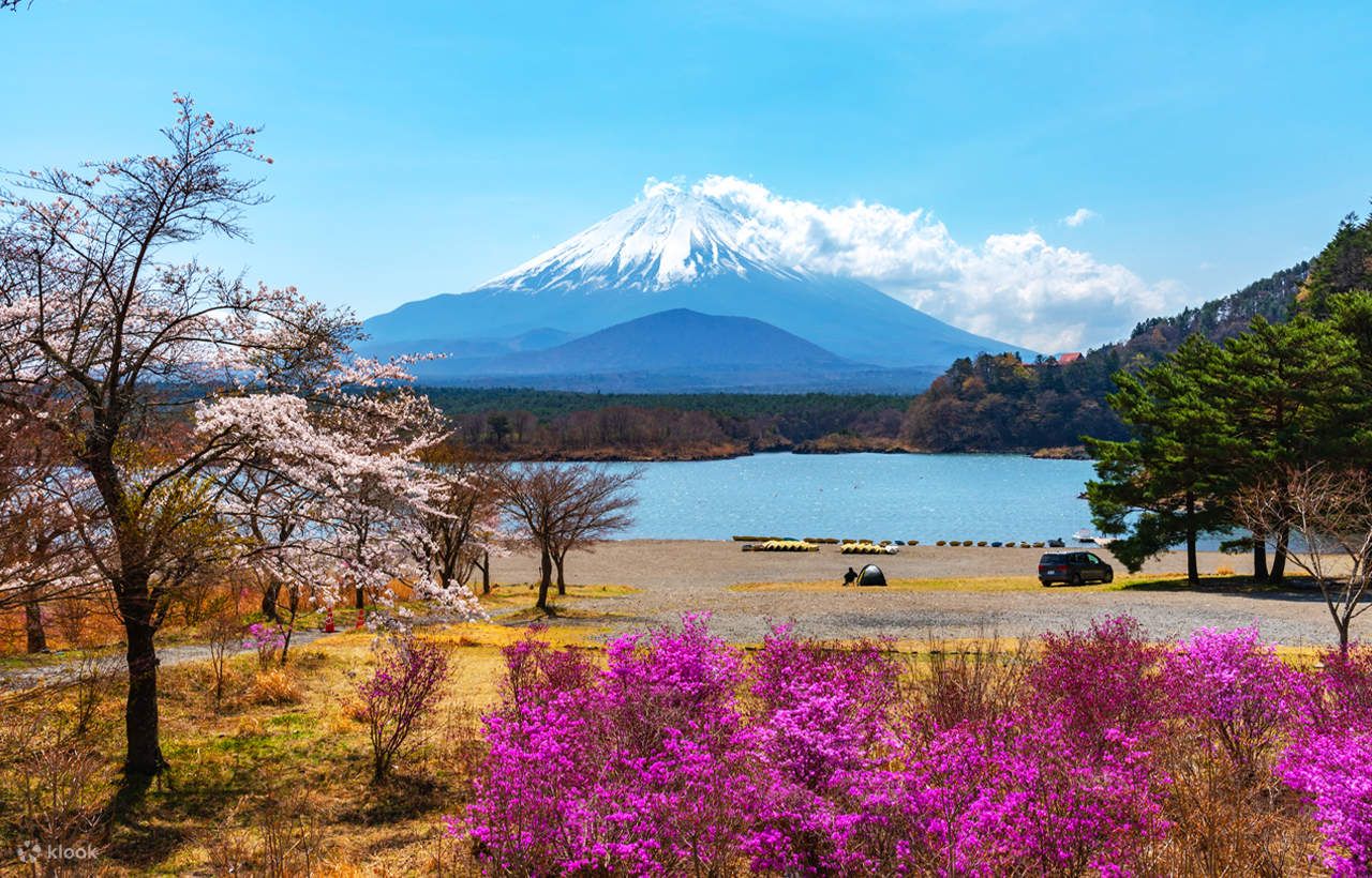 1280x820 Mount Fuji Hakone Kamakura Private Car Day Tour (Hotel Pick Up And Drop Off Multiple Vehicle Options Available)