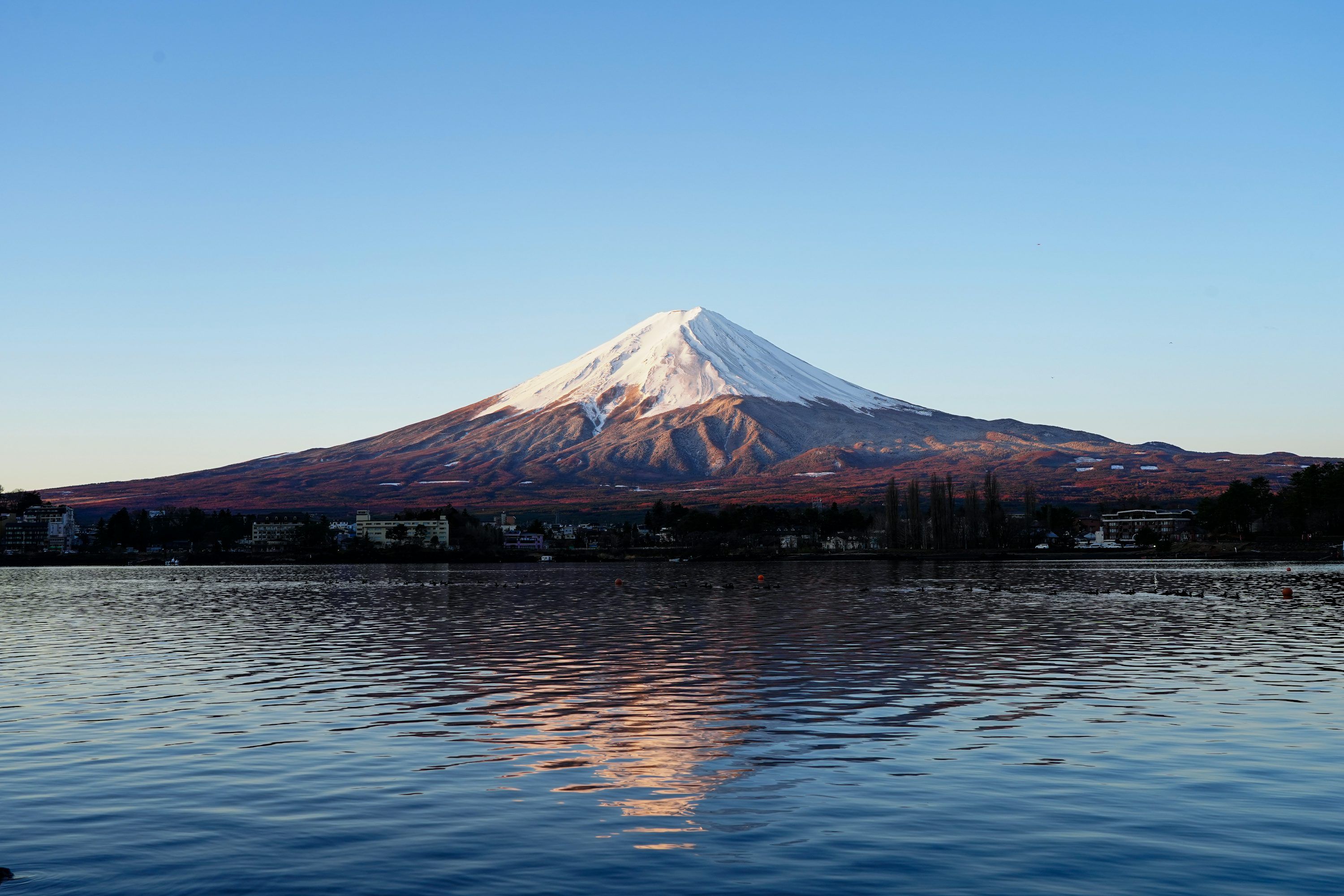 3000x2000 Snow Capped Mount Fuji Reflected In A Calm Lake. Photo