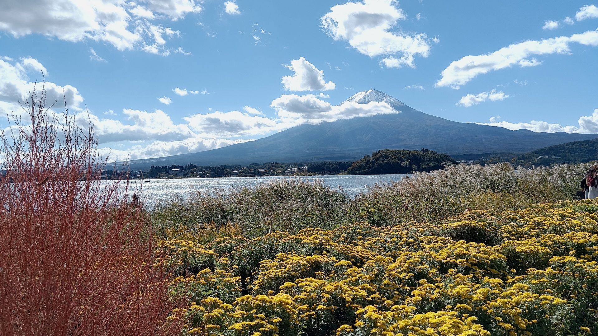 1920x1080 Mesmerizing Views of Mt. Fuji from Lake Kawaguchi and Oishi Park Maps contribution stories Guides Connect