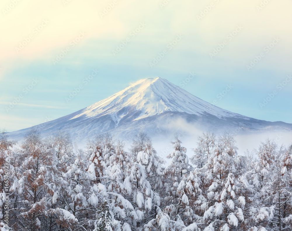 1000x791 Mountain fuji and lake kawaguchi, Japan wall mural wallpaper