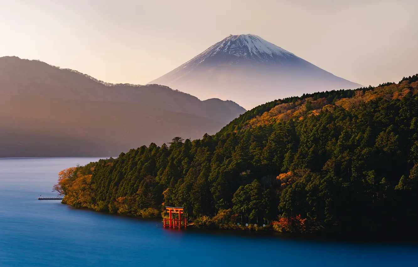 1332x850 Free forest, mountains 2K wallpaper for desktop and phone