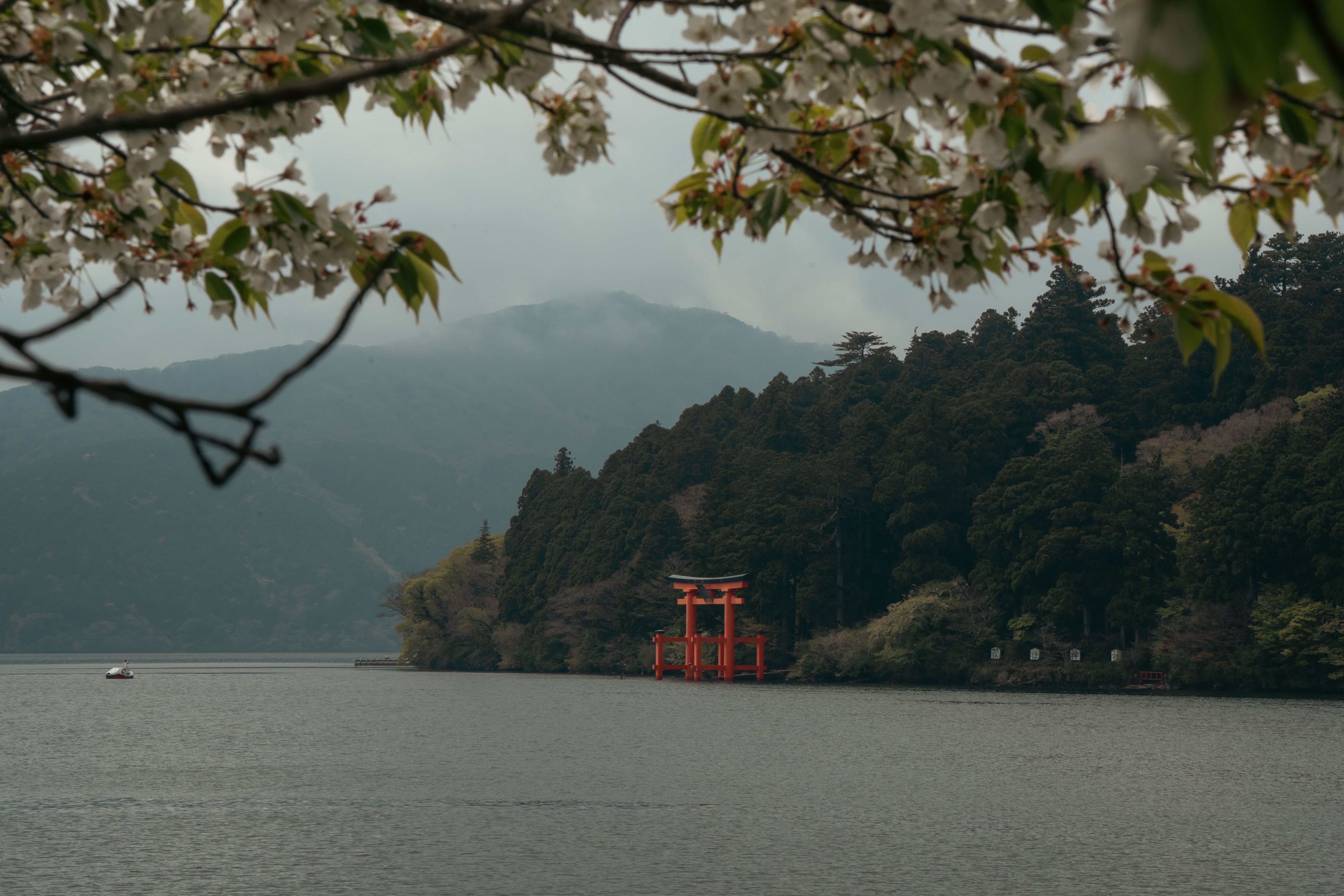 5335x3557 Serene View of Torii Gate at Lake Ashi · Free