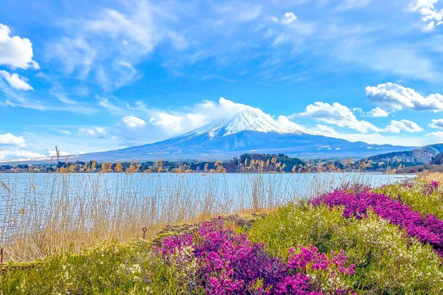 1440x960 Mount Fuji, Kamakura, Lake Ashi & Big Buddha · 5.0