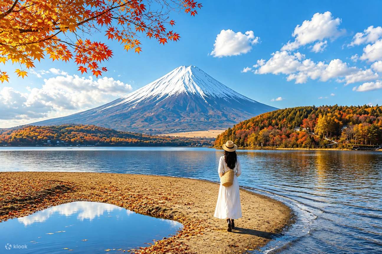 1295x863 Mount Fuji & Hakone Six Major Scenic Spots Land, Water, And Air Check In Day Tour