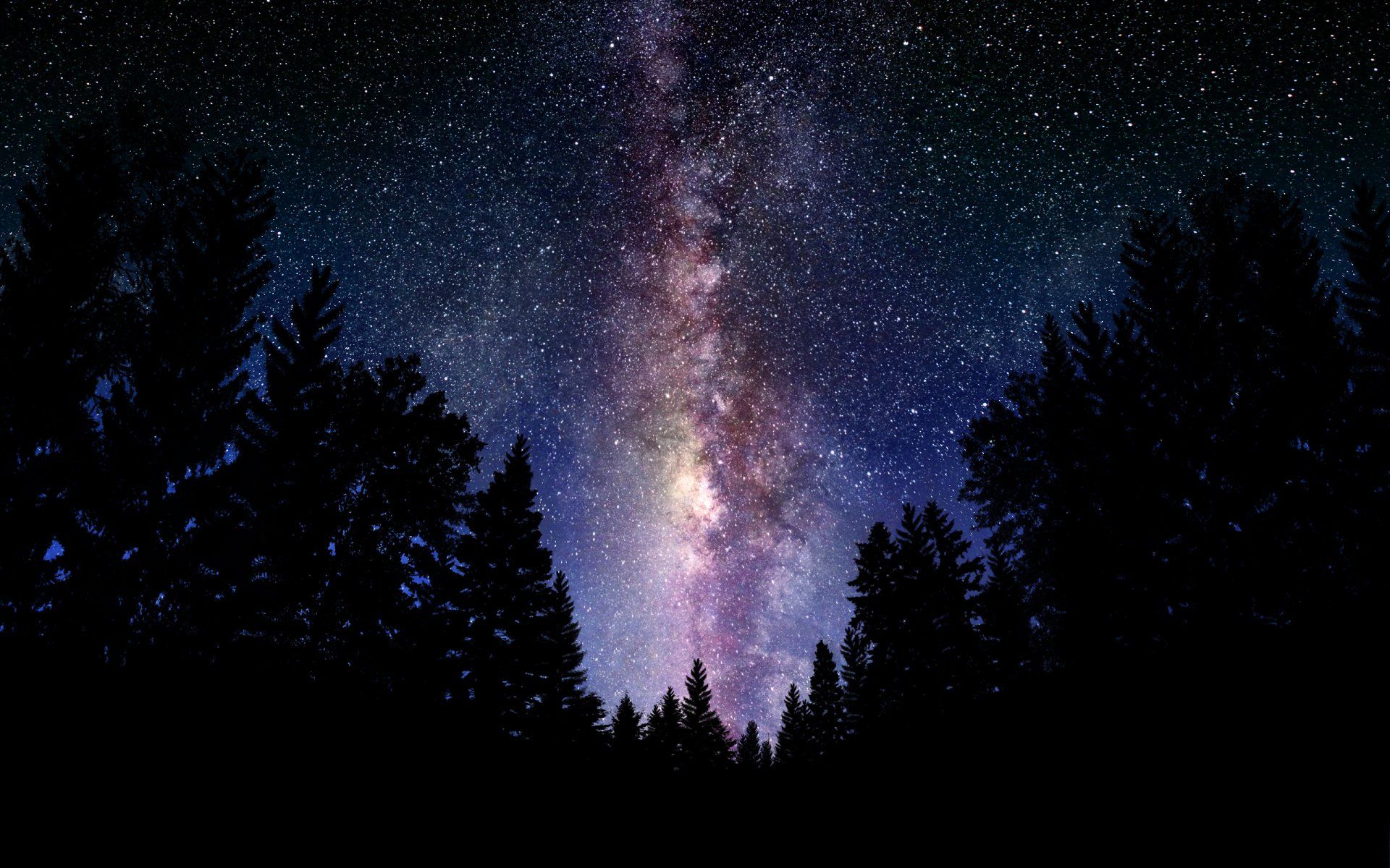 1920x1200 HD Wallpaper: Enchanted Night Sky with Stars