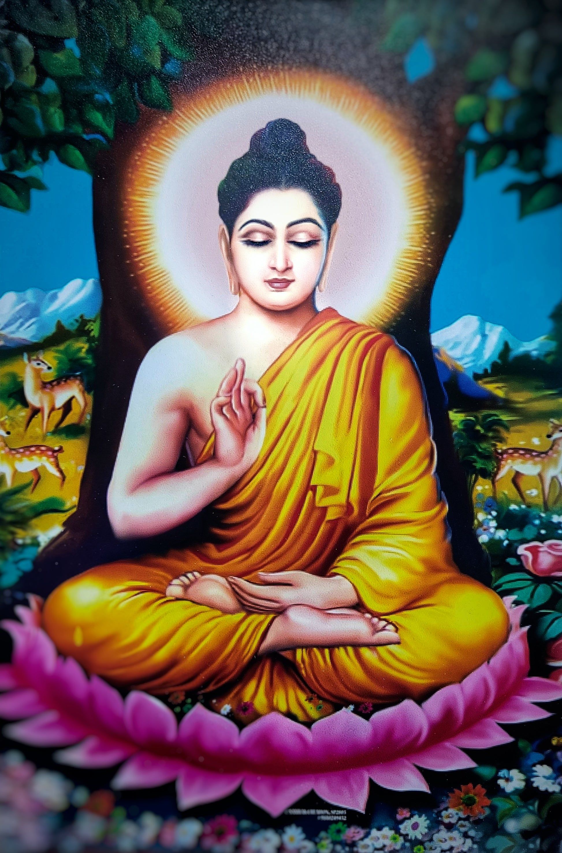 1946x2951 Buddha Vitarka Mudra Poster (Pack of 2)