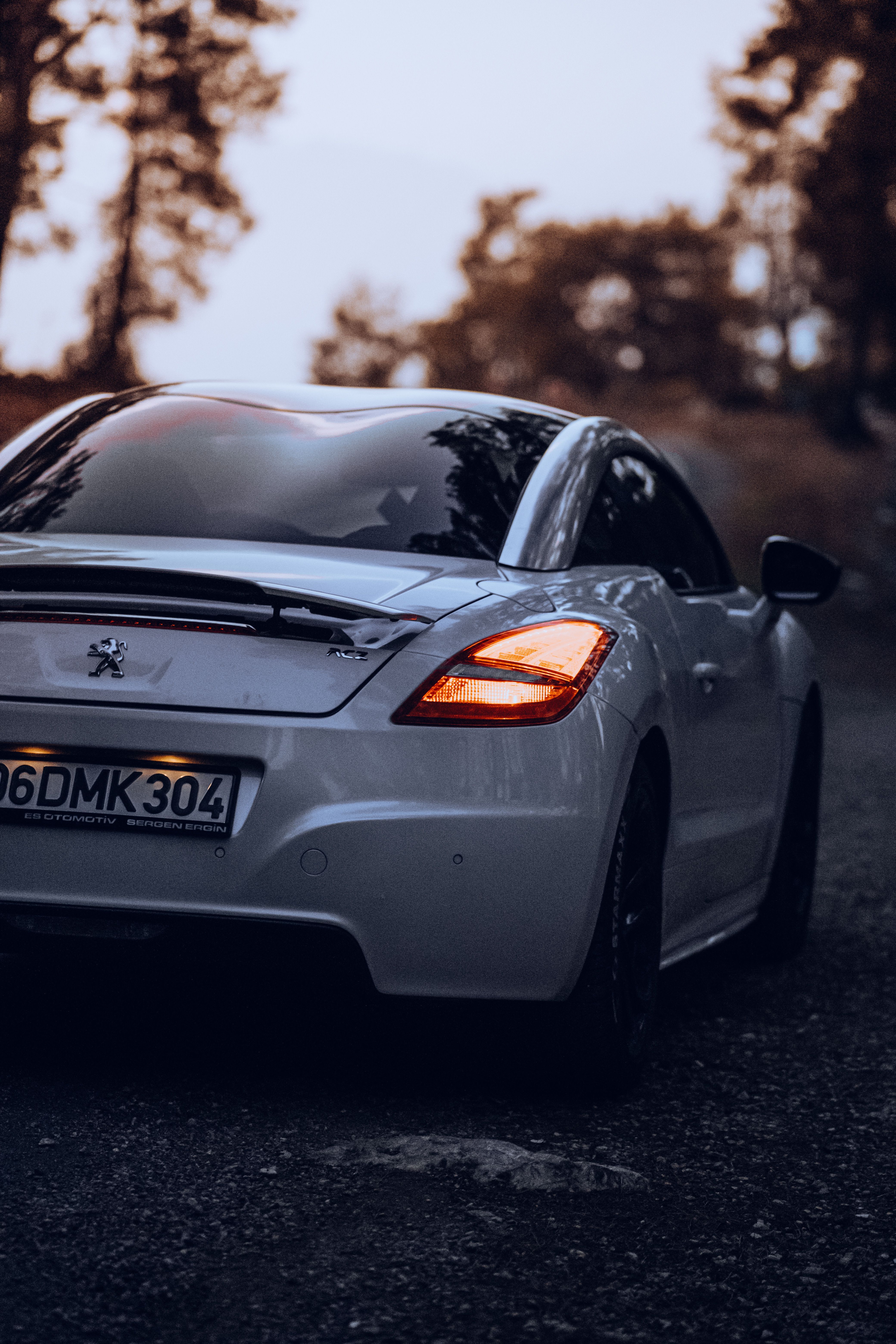 4160x6240 White, Sports Peugeot RCZ · Free