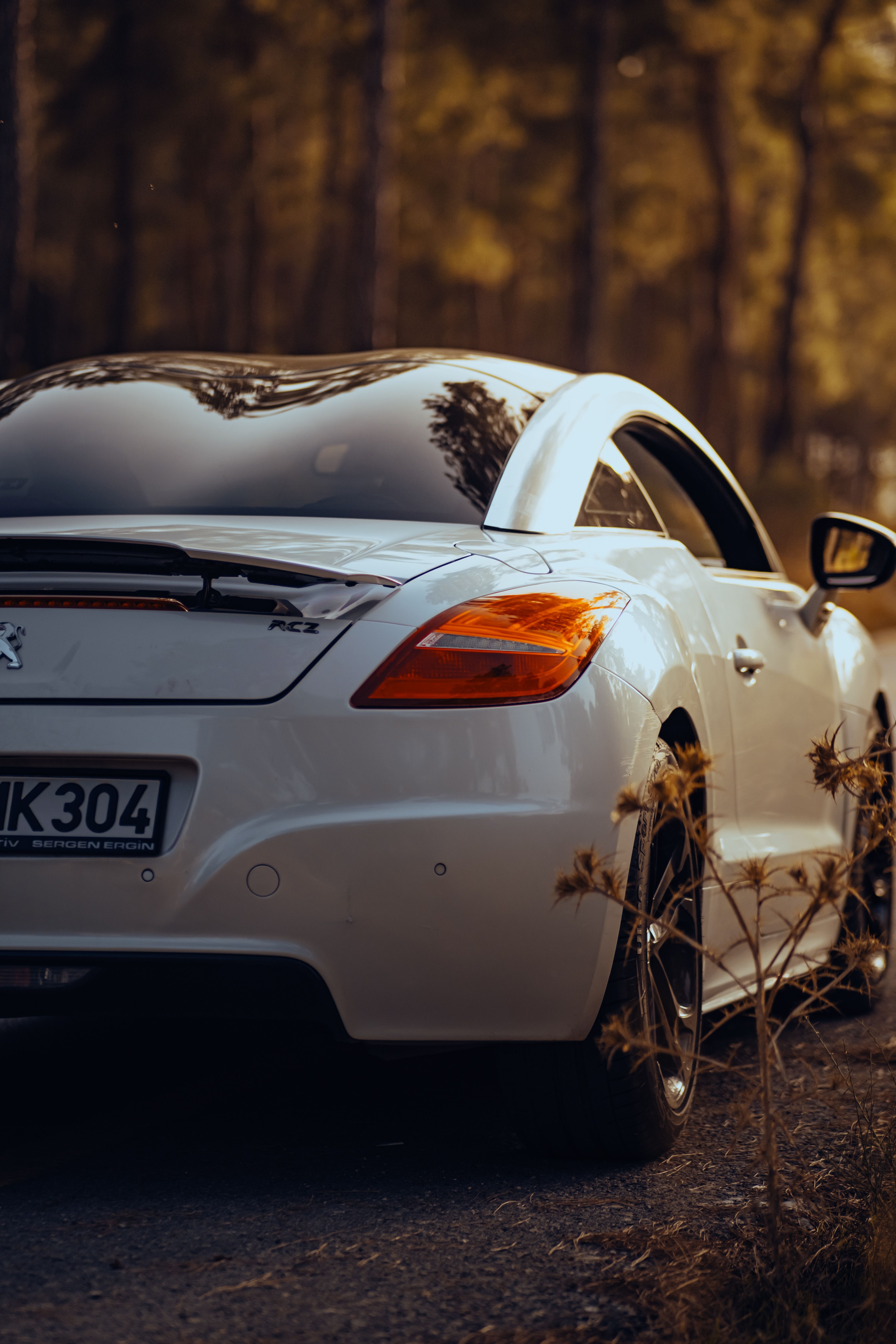 4160x6240 Back of White Peugeot RCZ · Free