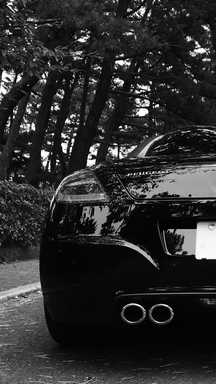 736x1309 プジョー rcz. 車の壁紙, フランス, イタリア