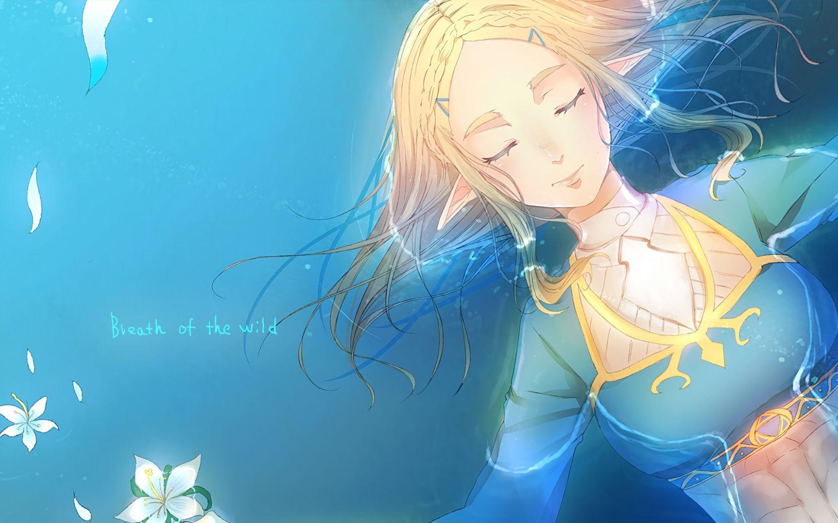 1680x1050 Free download HD Princess Zelda TLOZ Breath of the Wild 512 [1920x1080] for your Desktop, Mobile & Tablet. Explore Legend Of Zelda: Breath Of The Wild Wallpaper