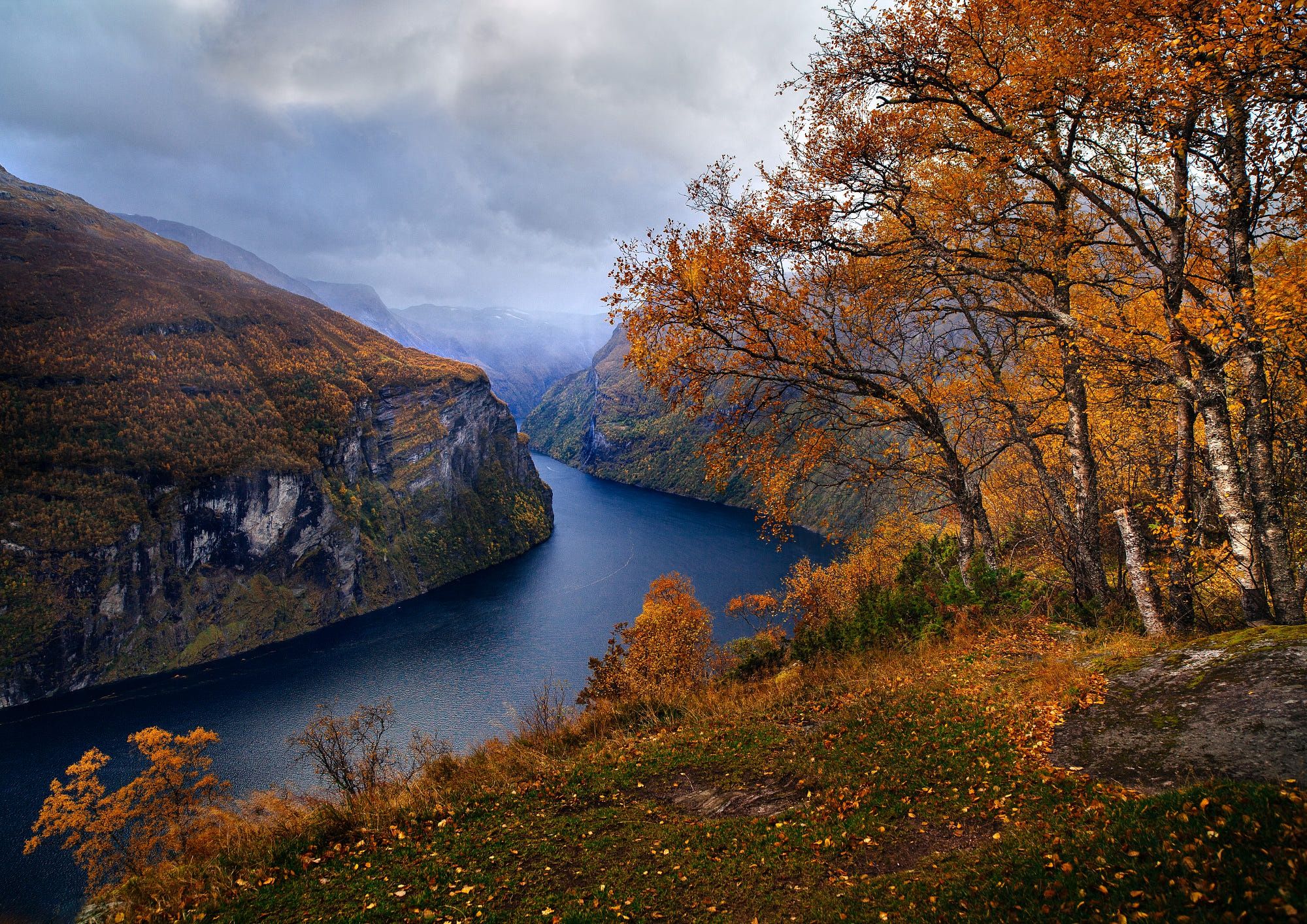 2000x1414 Free autumn, trees Full HD wallpaper for desktop and phone