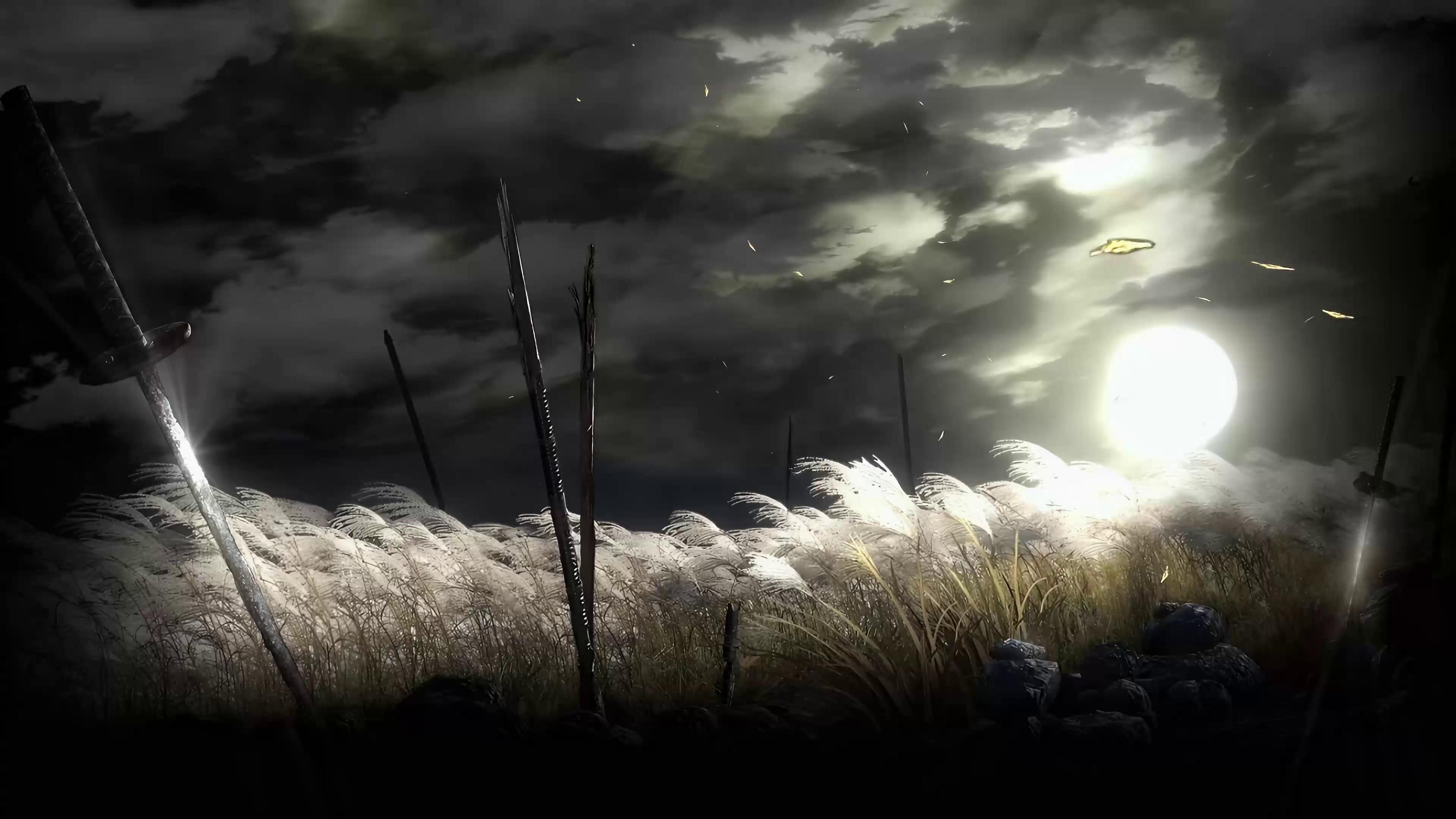 3840x2160 Battlefield (Sekiro) Live Wallpaper