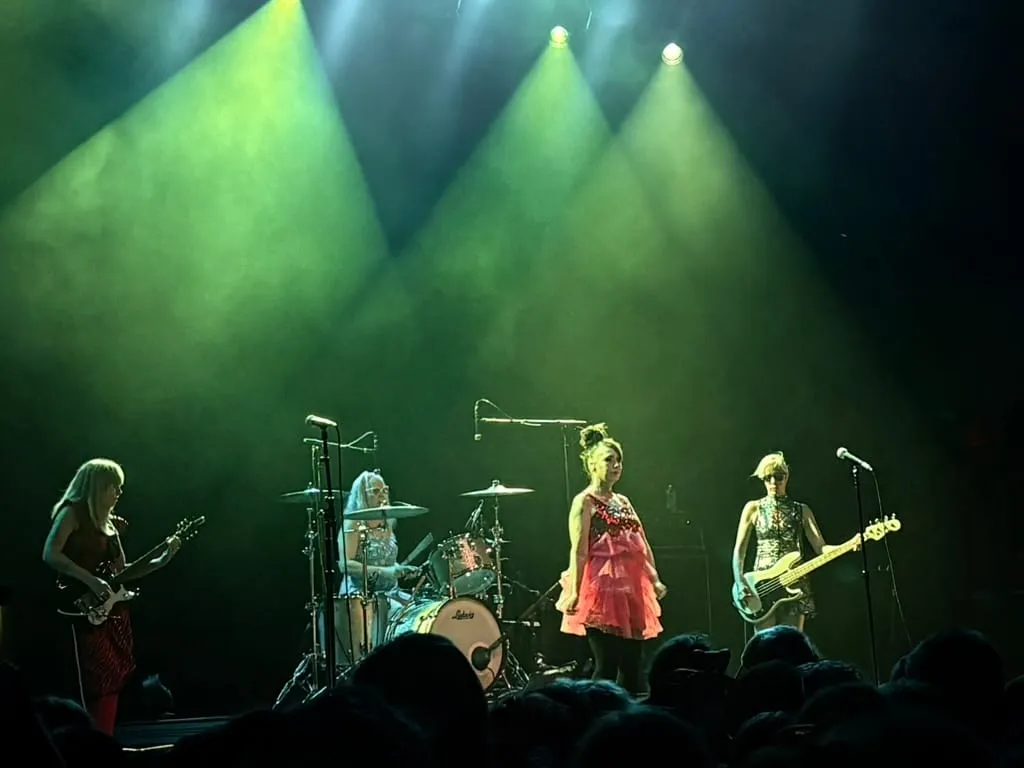 1024x768 WHRB - Jumping For Joy With Bikini Kill