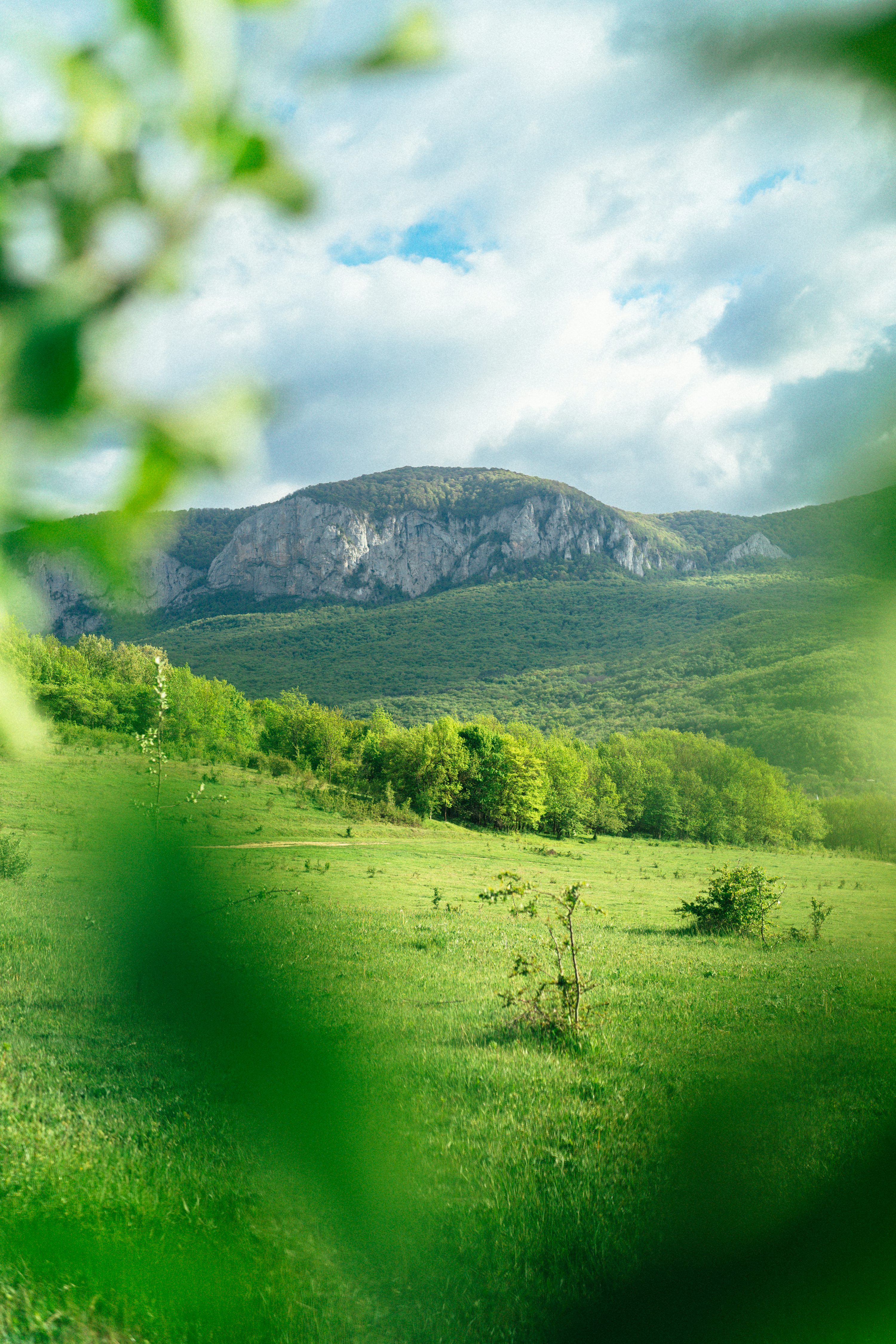 3000x4500 Lush green meadow with a majestic mountain backdrop