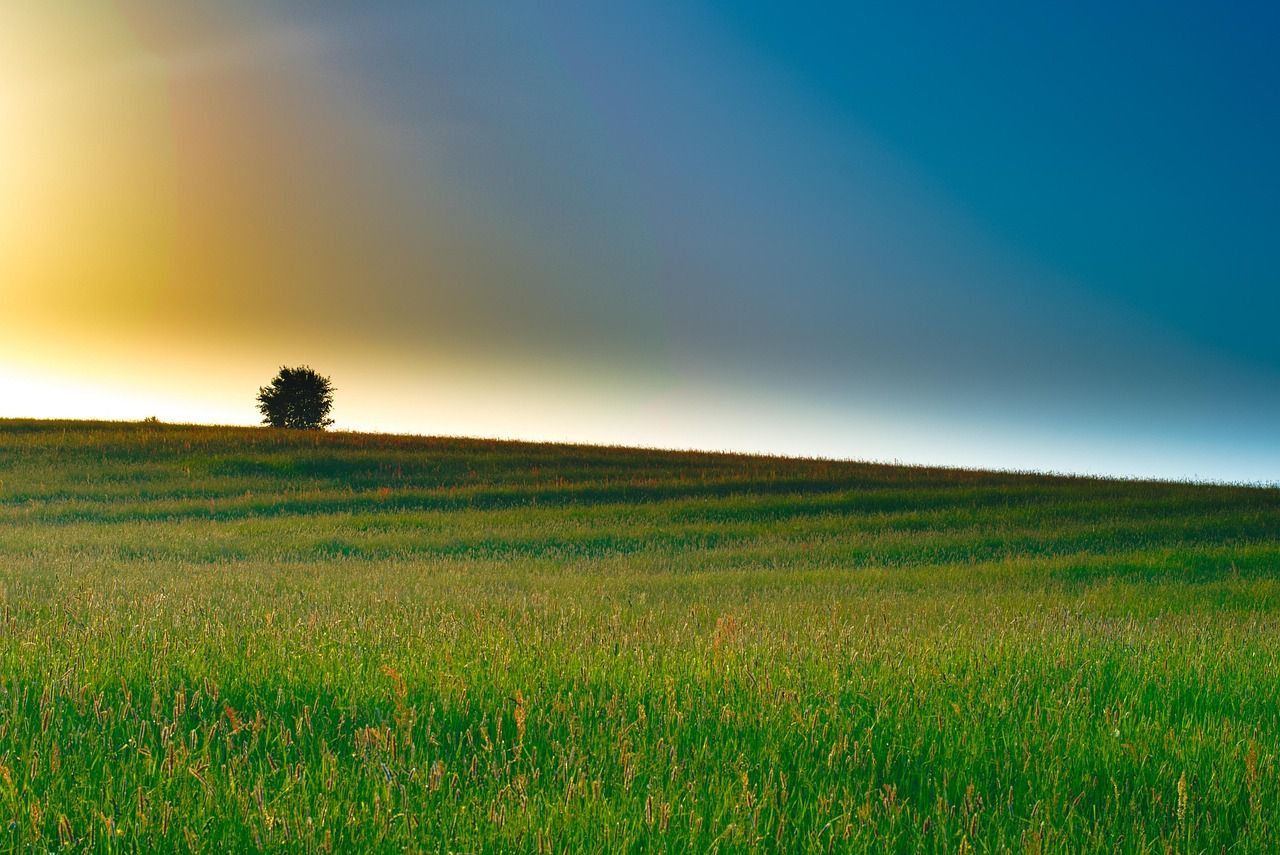 1280x855 Padang Rumput Lanskap Langit gratis di Pixabay