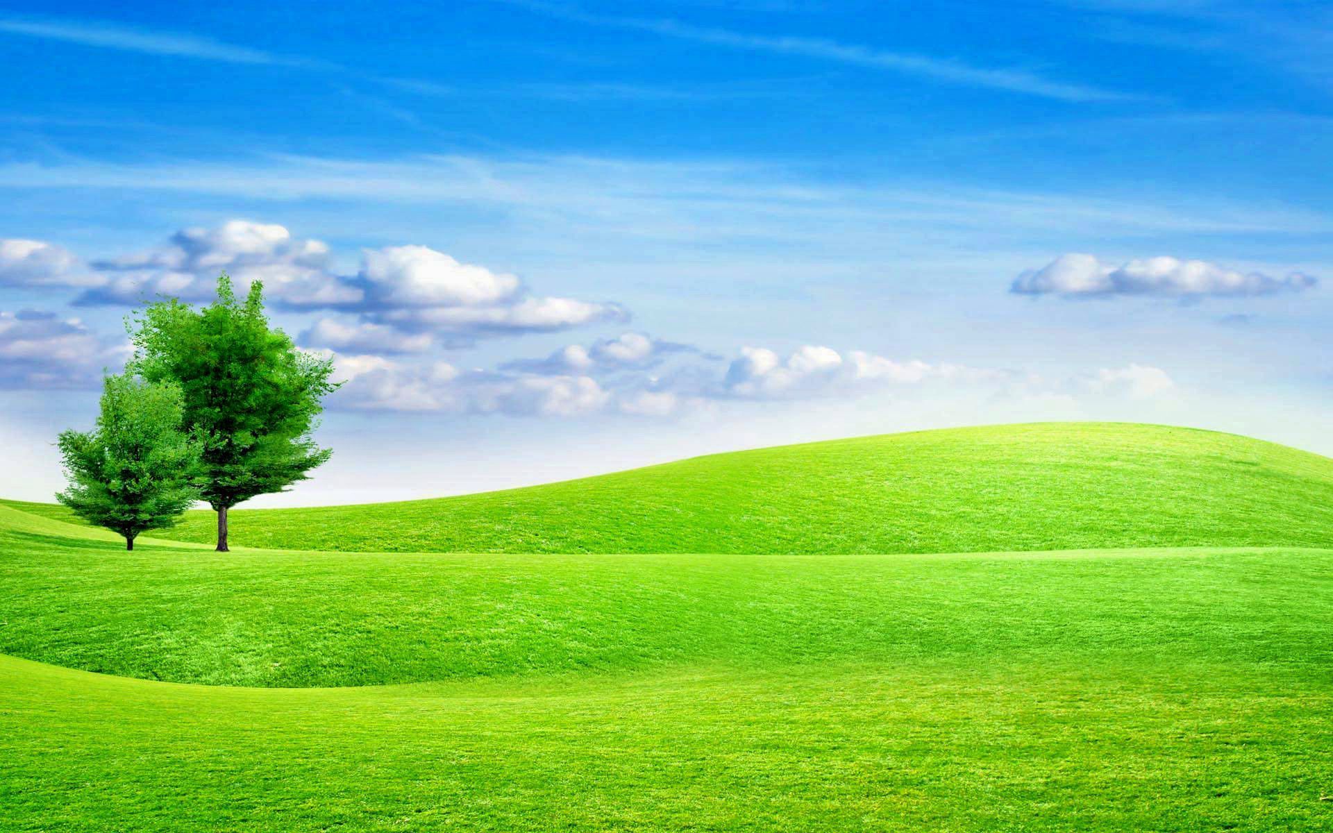 1920x1200 HD Wallpaper: Blue Sky White Clouds Green Grass Trees 1080P. Alam semesta, Wallpaper keren, Pemandangan yang indah