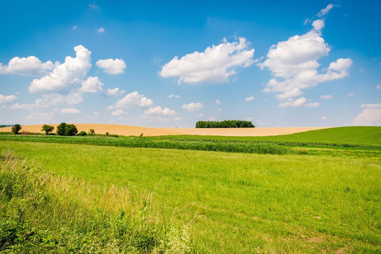 1280x853 Lapangan Hill Rumput Padang gratis di Pixabay