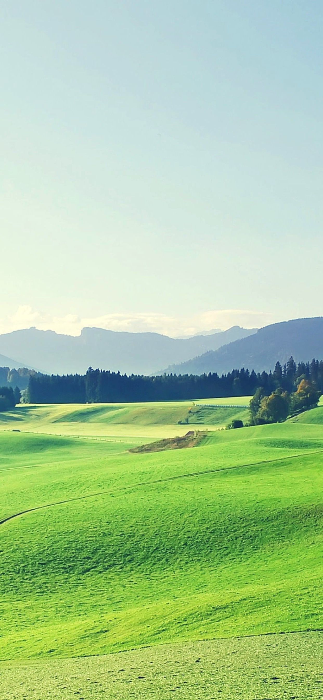 1242x2688 Grassland landscape.sc iPhone XS Max