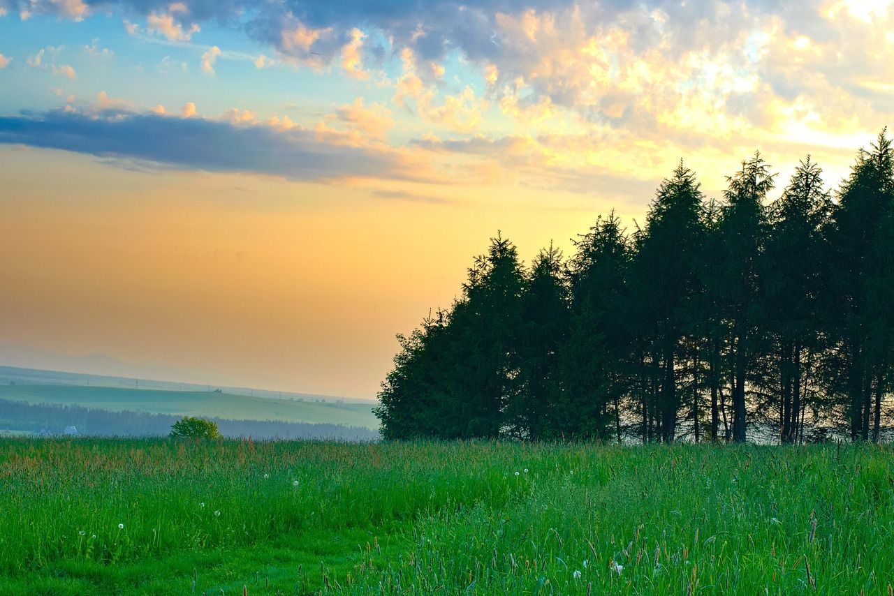 1280x854 Landscape Sunset Meadow