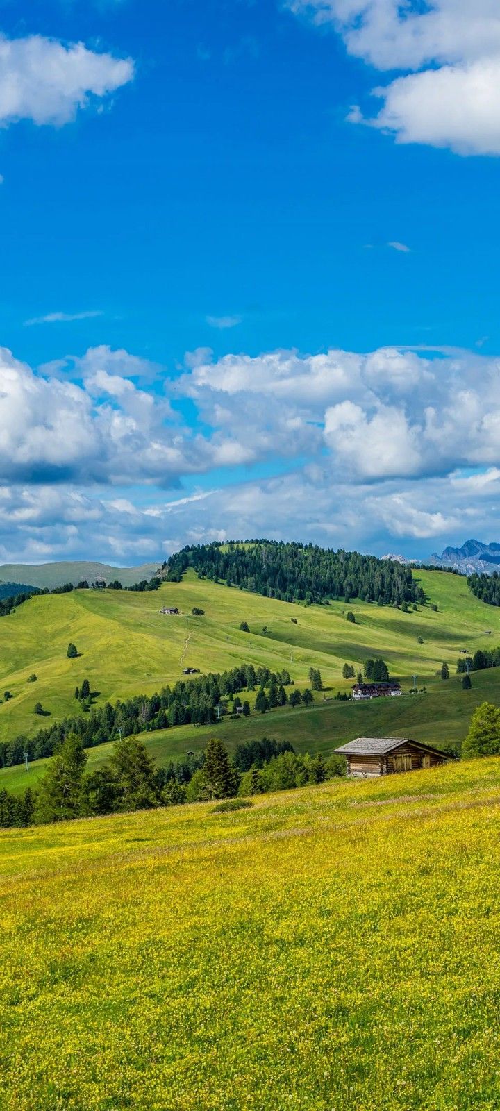 720x1600 Rolling Hills Landscape. Blue sky and clouds landscape, Peaceful nature wallpaper ideas, Scenic mountain landscape with green fields