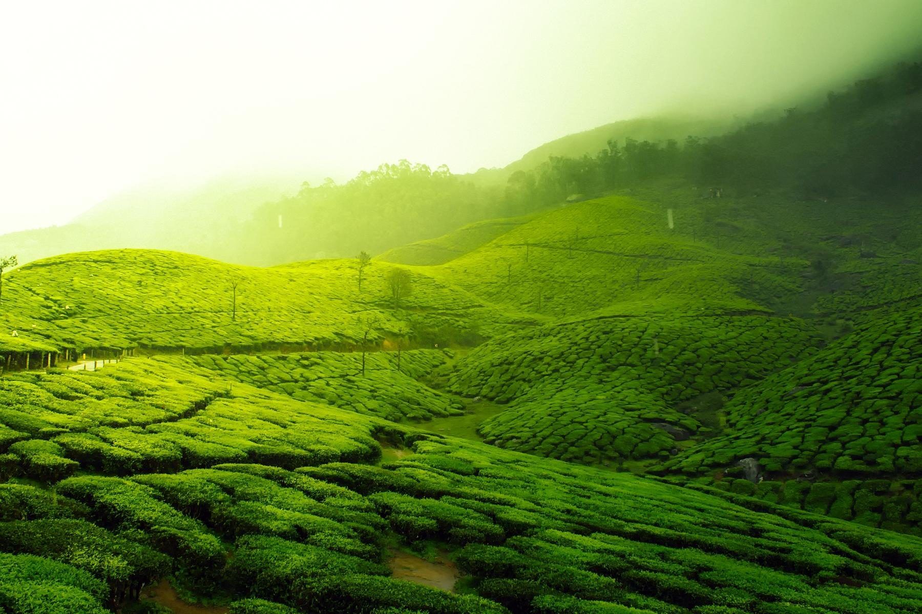 1800x1199 Gambar gratis: hijau, lanskap, bidang, rumput, padang rumput, pedesaan, langit, rumput, musim panas