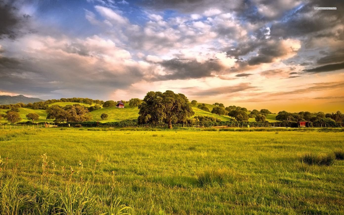 1392x870 Padang Wallpaper
