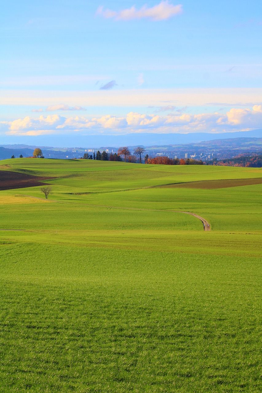 853x1280 Padang Rumput Alam Lanskap gratis di Pixabay