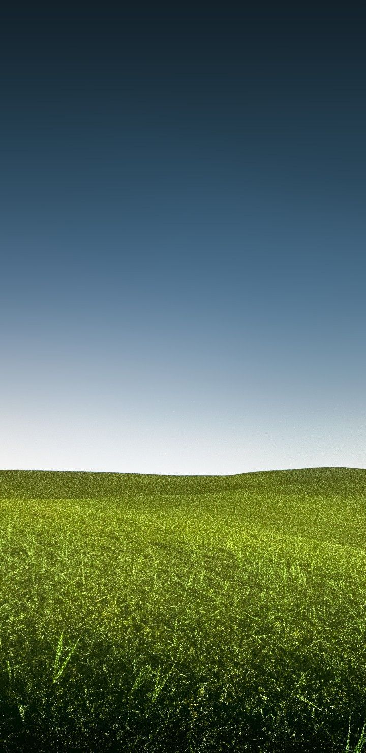 720x1480 Gambar Pemandangan Alam dengan Pohon Tunggal di Padang Rumput. Tempat liburan, Gambar latar belakang foto, Gambar kehidupan