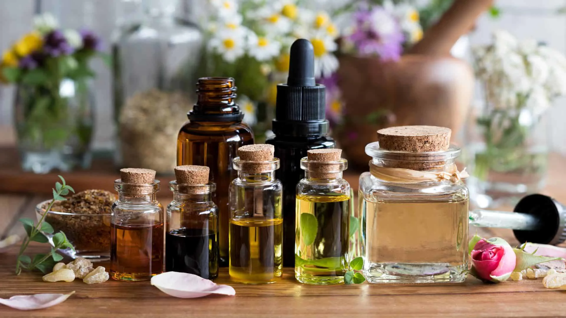 1920x1080 Is It Effective to Use Essential Oils to Repel Mosquitoes?