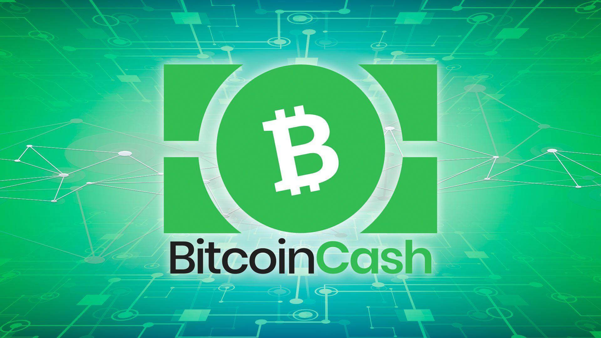 bitcoin cash users