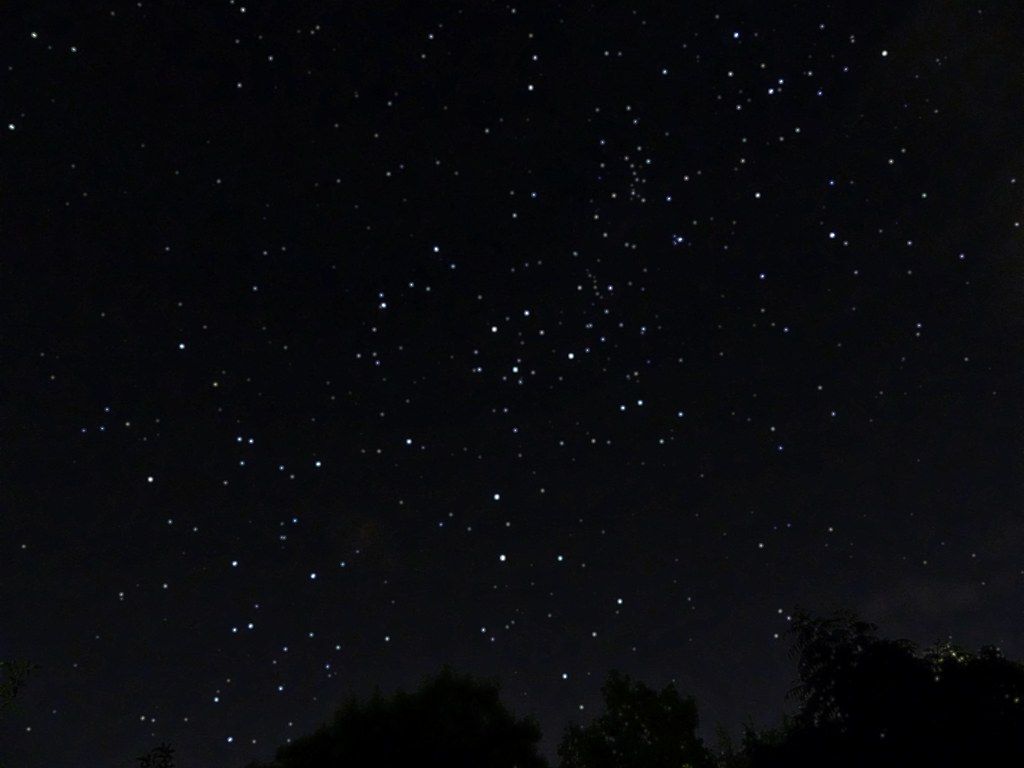 1024x768 Southern Night Sky 8 Sec blurry effects. With Southern Cro